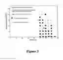 Fig. 04 - Topical vasoconstrictor preparations and methods for protecting cells during cancer chemotherapy and radiotherapy