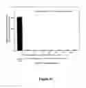 Fig. 11 - Topical vasoconstrictor preparations and methods for protecting cells during cancer chemotherapy and radiotherapy