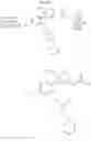 Fig. 23 - DP2 antagonist and uses thereof
