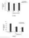 Fig. 14 - Use of cilastatin to reduce the nephrotoxicity of different compounds