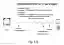 Fig. 19 - Use of cilastatin to reduce the nephrotoxicity of different compounds