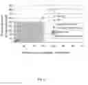 Fig. 21 - Use of cilastatin to reduce the nephrotoxicity of different compounds