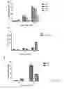Fig. 03 - Pharmaceutical compositions of Anisomelic acid and the use thereof