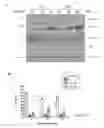 Fig. 05 - Pharmaceutical compositions of Anisomelic acid and the use thereof
