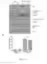 Fig. 07 - Pharmaceutical compositions of Anisomelic acid and the use thereof