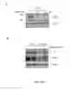 Fig. 08 - Pharmaceutical compositions of Anisomelic acid and the use thereof