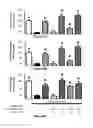 Fig. 08 - Compositions for treating amyotrophic lateral sclerosis