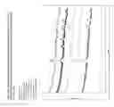 Fig. 14 - SOLID DISPERSIONS OF AMORPHOUS PAROXETINE MESYLATE