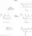Fig. 24 - HETEROARYL LINKED QUINOLINYL MODULATORS OF RORyt