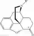 Fig. 07 - Diversion-resistant opioid formulations