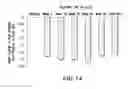 Fig. 12 - EXTENDED RELEASE HYDROCODONE ACETAMINOPHEN AND RELATED METHODS AND USES THEREOF