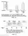 Fig. 14 - EXTENDED RELEASE HYDROCODONE ACETAMINOPHEN AND RELATED METHODS AND USES THEREOF
