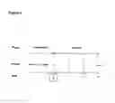 Fig. 07 - Immediate release pharmaceutical compositions comprising oxycodone and naloxone