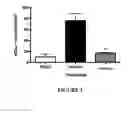 Fig. 04 - METHOD FOR PREVENTING AND/OR TREATING CHRONIC TRAUMATIC ENCEPHALOPATHY-II