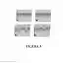 Fig. 06 - METHOD FOR PREVENTING AND/OR TREATING CHRONIC TRAUMATIC ENCEPHALOPATHY-II