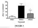 Fig. 04 - Method for Preventing and/or Treating Chronic Traumatic Encephalopathy - III