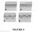 Fig. 06 - Method for Preventing and/or Treating Chronic Traumatic Encephalopathy - III