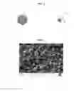 Fig. 02 - Compositions For Treating Acute, Post-Operative, Or Chronic Pain and Methods of Using the Same