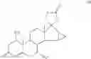 Fig. 05 - Pharmaceutical compositions for preventing glucocorticoid-induced skin thinning