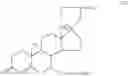 Fig. 09 - Pharmaceutical compositions for preventing glucocorticoid-induced skin thinning