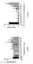Fig. 07 - Methods for treating and preventing prostate cancer bone metastases
