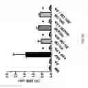 Fig. 08 - Methods for treating and preventing prostate cancer bone metastases