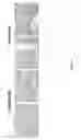 Fig. 09 - Methods for treating and preventing prostate cancer bone metastases