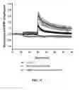 Fig. 04 - METHODS AND COMPOSITIONS FOR ENHANCING COGNITIVE PERFORMANCE