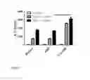 Fig. 03 - Pharmaceutical Compositions Comprising a GPG Oligodeoxynucleotide and Cyclic Di-GMP