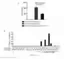 Fig. 06 - TARGETING TYPE I NKT CELLS TO CONTROL INFLAMMATION