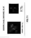 Fig. 12 - CD34 STEM CELL-RELATED METHODS AND COMPOSITIONS