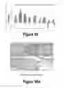 Fig. 19 - Molecular and Herbal Combinations for Treating Psoriasis