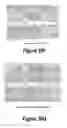 Fig. 22 - Molecular and Herbal Combinations for Treating Psoriasis