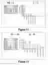 Fig. 07 - Molecular and Herbal Combinations for Treating Psoriasis