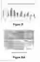 Fig. 19 - Molecular and Herbal Combinations for Treating Psoriasis