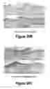 Fig. 20 - Molecular and Herbal Combinations for Treating Psoriasis