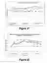 Fig. 12 - Molecular and Herbal Combinations for Treating Psoriasis