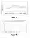 Fig. 14 - Molecular and Herbal Combinations for Treating Psoriasis