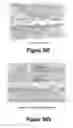 Fig. 22 - Molecular and Herbal Combinations for Treating Psoriasis