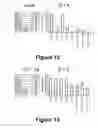 Fig. 08 - Molecular and herbal combinations for treating psoriasis