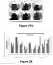 Fig. 18 - Molecular and herbal combinations for treating psoriasis