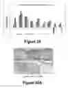 Fig. 19 - Molecular and herbal combinations for treating psoriasis