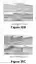 Fig. 20 - Molecular and herbal combinations for treating psoriasis