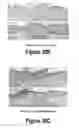 Fig. 20 - Molecular and Herbal Combinations for Treating Psoriasis