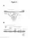 Fig. 02 - METHODS AND COMPOSITIONS FOR ENHANCING STEM CELL MOBILIZATION