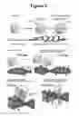 Fig. 04 - METHODS AND COMPOSITIONS FOR ENHANCING STEM CELL MOBILIZATION
