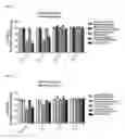 Fig. 06 - Pharmaceutical Composition for Anti-Obesity Comprising Complex Extracts, Including Saururi Chinensis Baill. Extract, Curcumae Longae Rhizoma Extract and Polygalae Radix Extract
