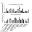 Fig. 14 - Pharmaceutical Composition for Anti-Obesity Comprising Complex Extracts, Including Saururi Chinensis Baill. Extract, Curcumae Longae Rhizoma Extract and Polygalae Radix Extract