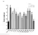 Fig. 16 - Pharmaceutical Composition for Anti-Obesity Comprising Complex Extracts, Including Saururi Chinensis Baill. Extract, Curcumae Longae Rhizoma Extract and Polygalae Radix Extract