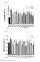 Fig. 18 - Pharmaceutical Composition for Anti-Obesity Comprising Complex Extracts, Including Saururi Chinensis Baill. Extract, Curcumae Longae Rhizoma Extract and Polygalae Radix Extract
